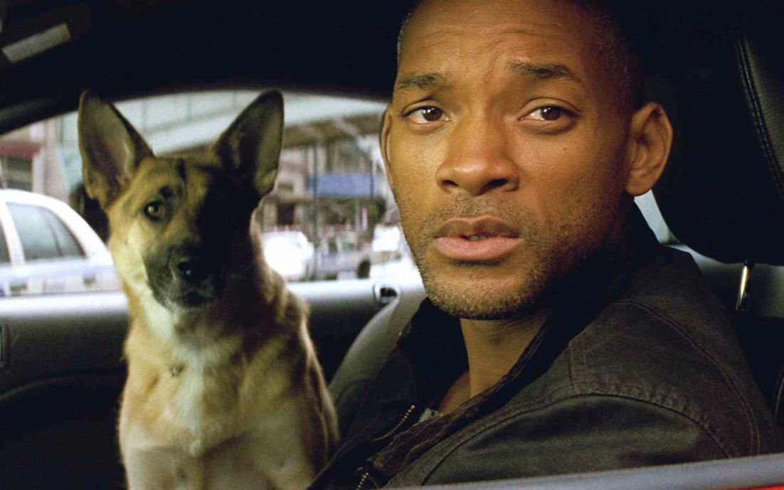 夜晚三点半3分钟看完我是传奇往日繁华街道空无一人一个男人带着一只