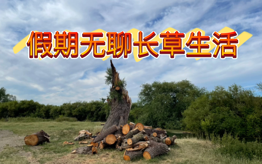 活动  假期无聊长草生活