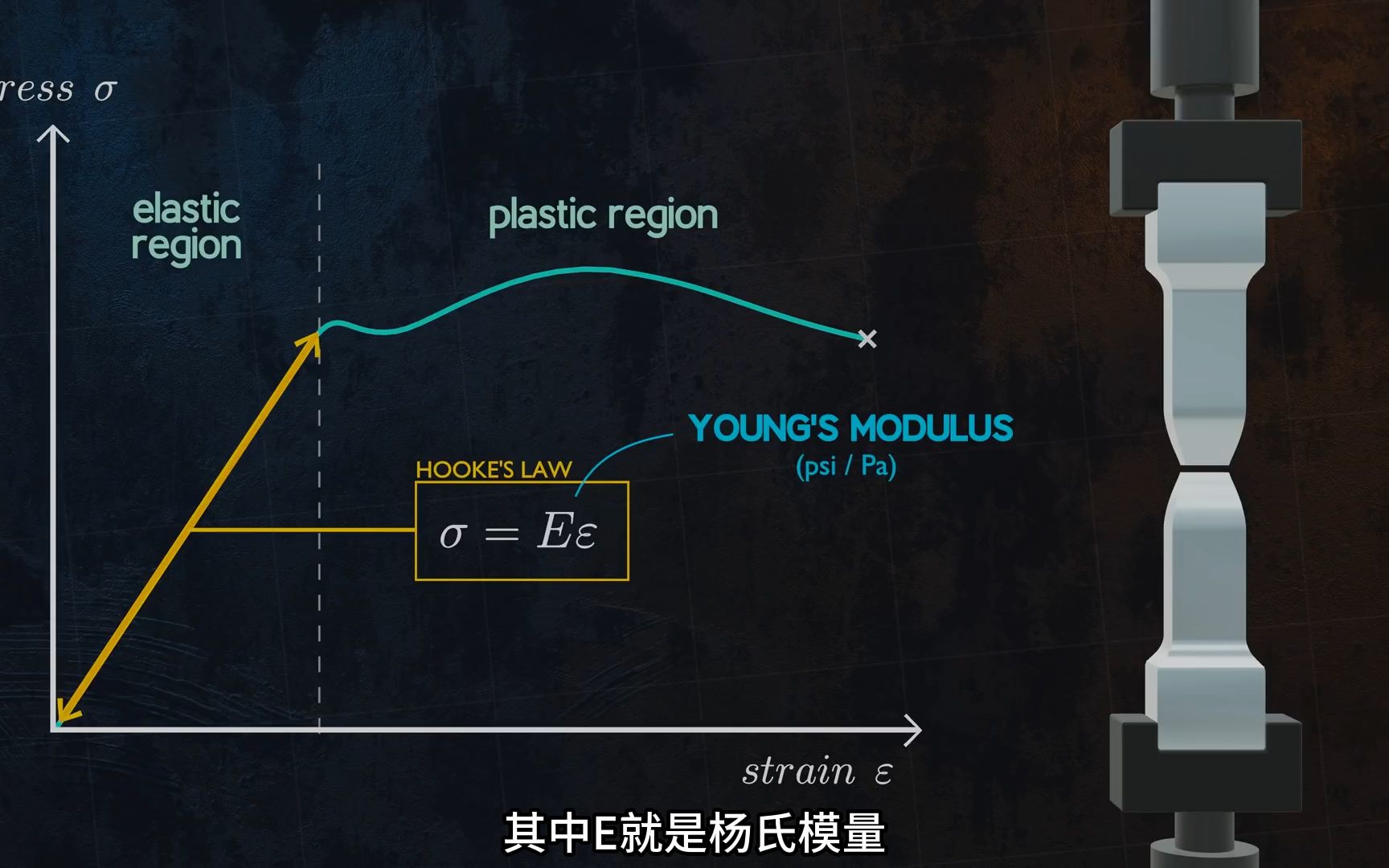 01理解杨氏模量的力学含义哔哩哔哩bilibili