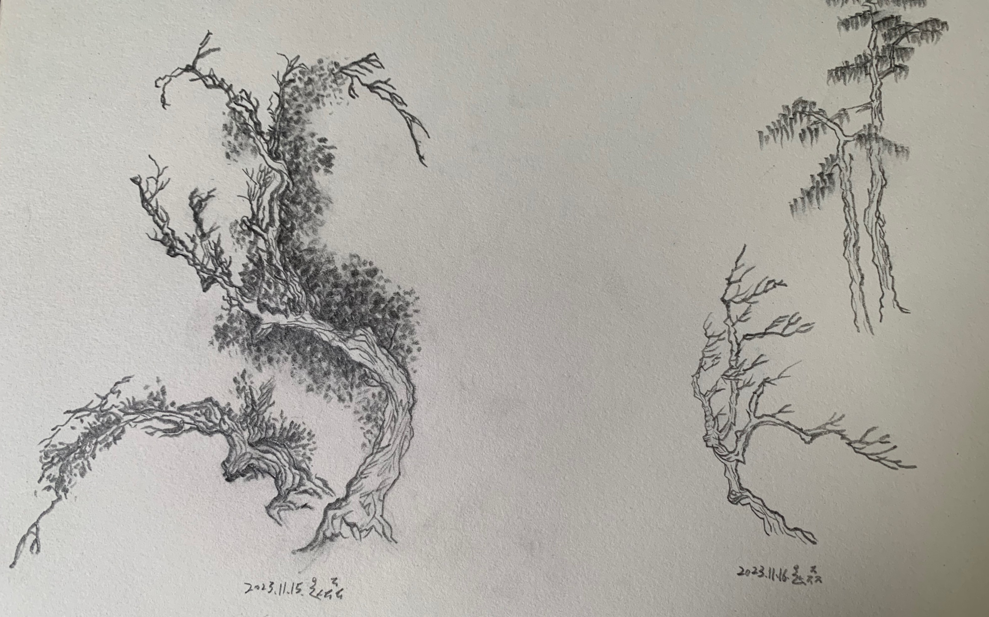 新年开卷～《芥子园画谱》山水篇