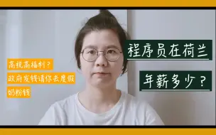 Video herunterladen: 荷兰程序员一年能挣多少钱｜欧洲软件工程师工资｜年薪百万｜荷兰福利｜欧洲福利真的这么好吗？