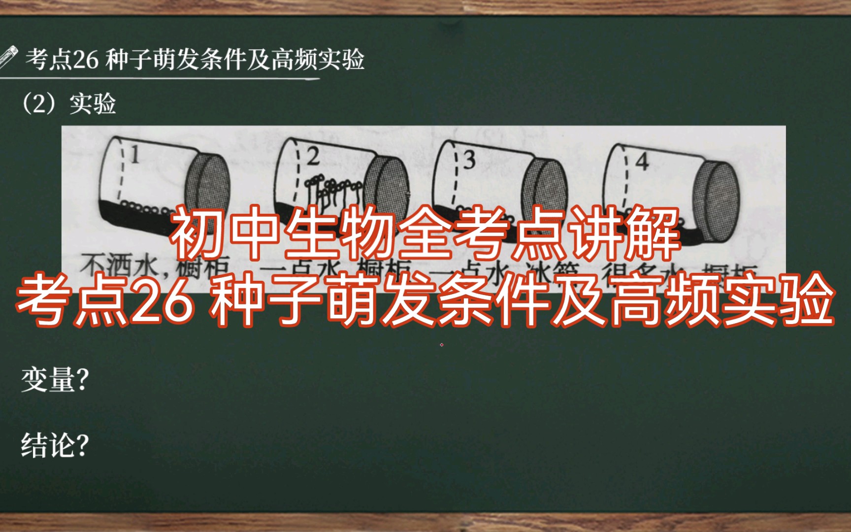 【初中生物全考点讲解|七上】考点26 种子萌发的条件及高频实验哔哩哔哩bilibili