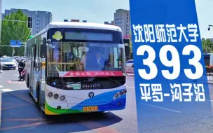 Descargar video: 【沈阳公交】393路全程POV，沈阳师范大学→平罗→沟子沿『POV310』