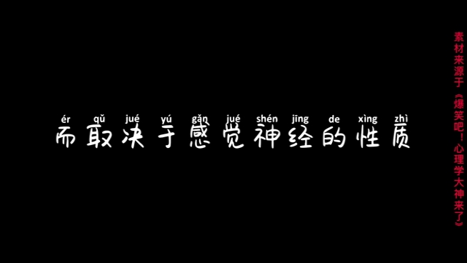 心理学大神~冯特哔哩哔哩bilibili