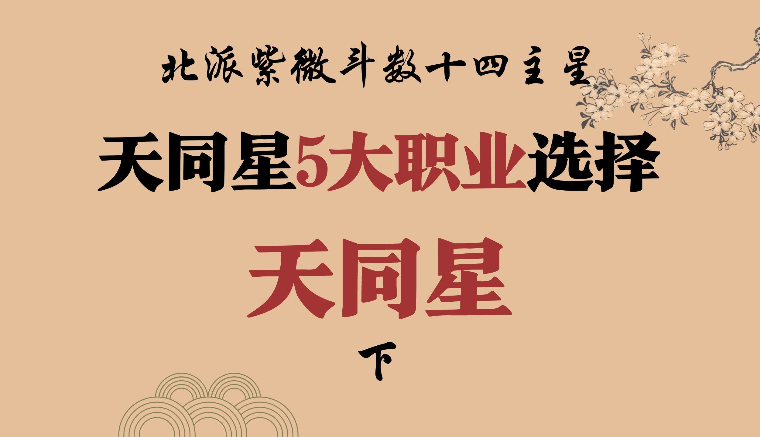 适合从事行业很多的天同星,天同星在“命财官迁移”的你看看适合做什么工作,天同星(下)紫微斗数哔哩哔哩bilibili