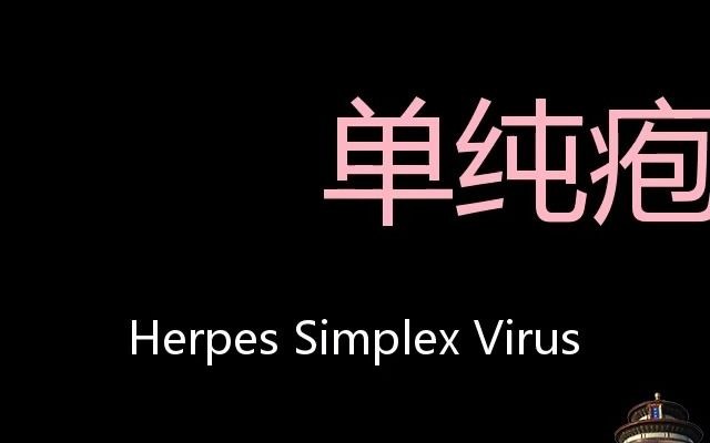 单纯疱疹病毒 Chinese Pronunciation Herpes Simplex Virus哔哩哔哩bilibili