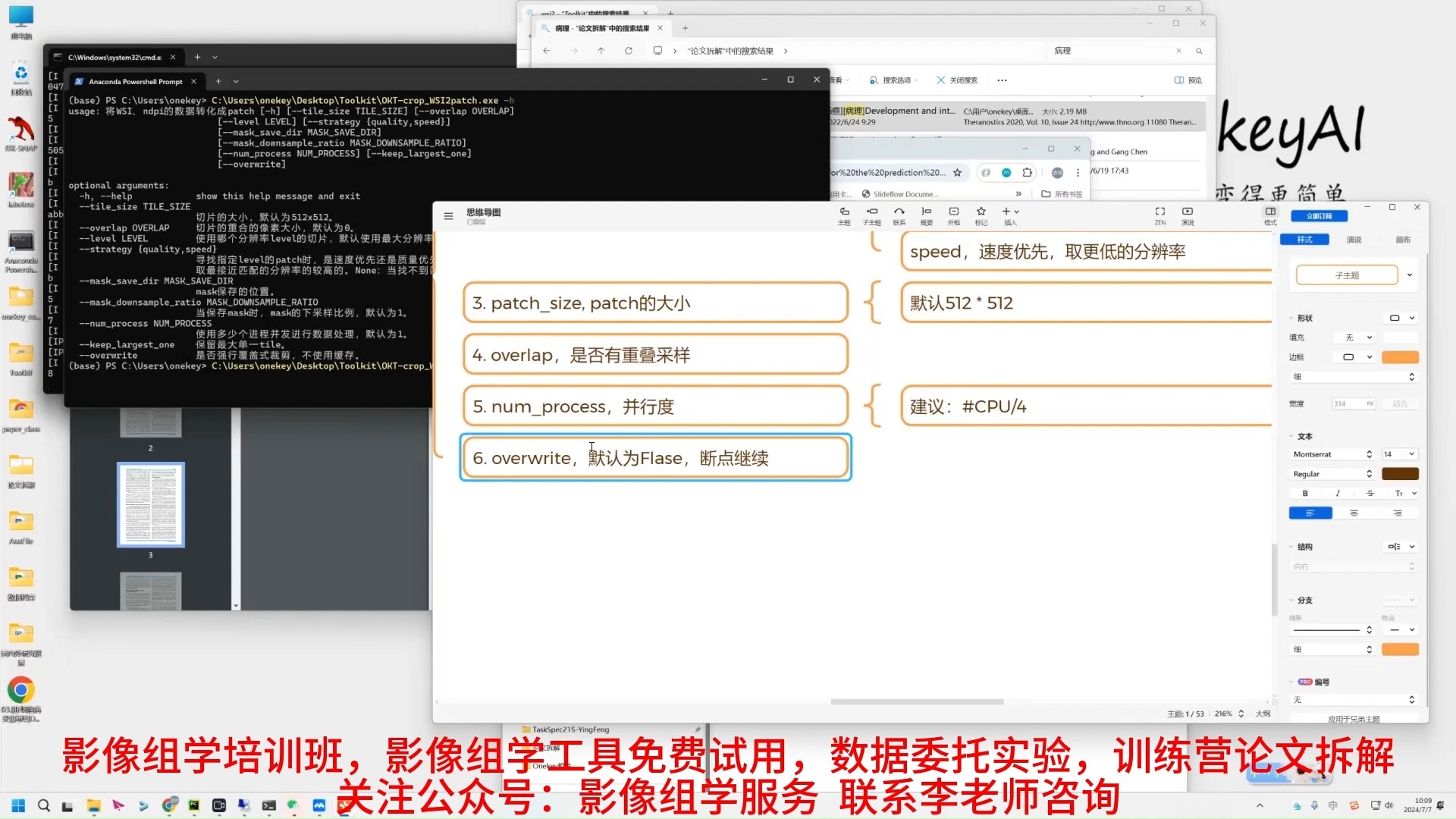 基于深度学习框架的肝细胞结节性病变全玻片图像分类优化哔哩哔哩bilibili