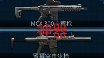 【破门而入】使用特殊弹药的突击步枪