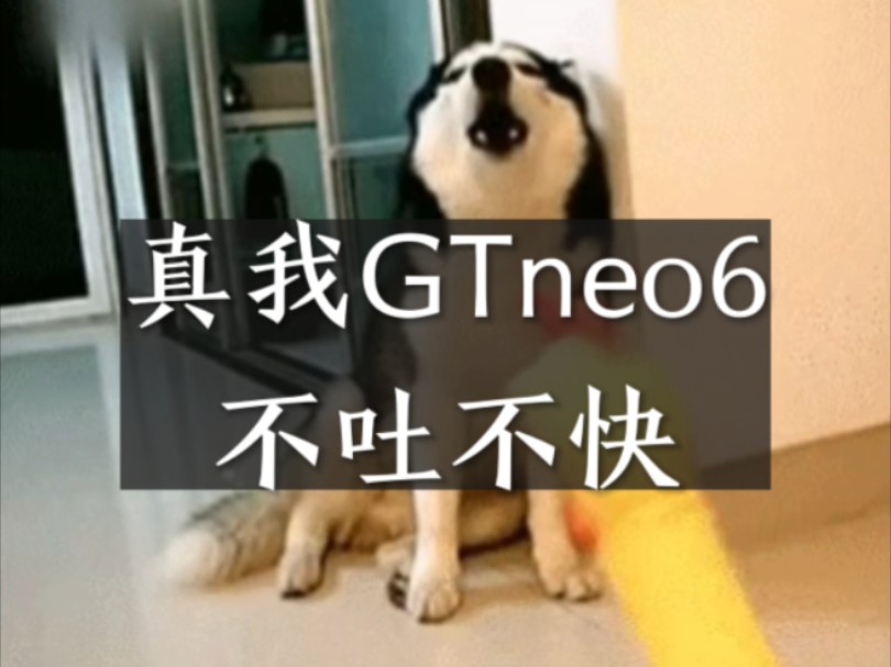 真我GTneo6不吐不快哔哩哔哩bilibili