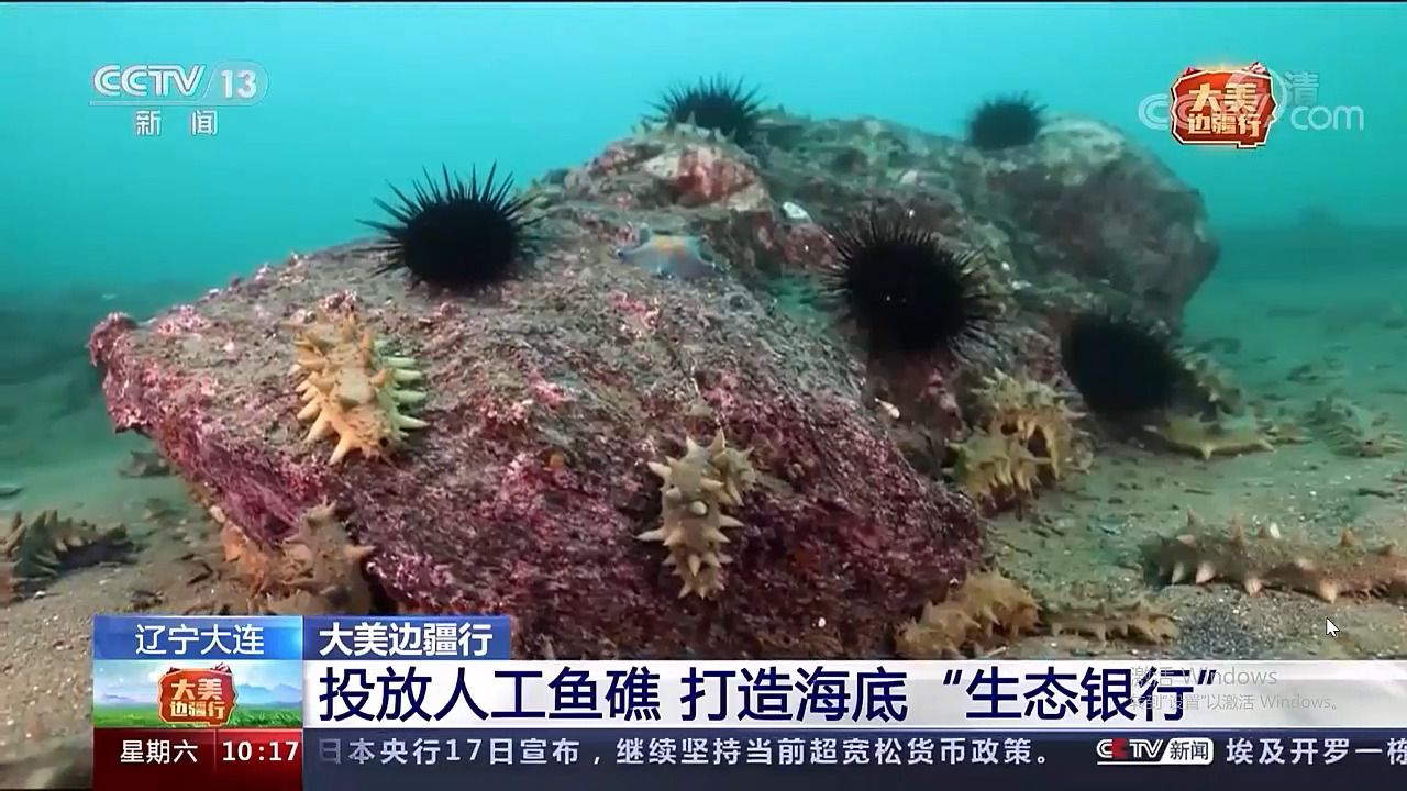 [图]海洋牧场/人工鱼礁