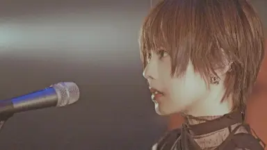 ポルカドットスティングレイ-哔哩哔哩_Bilibili