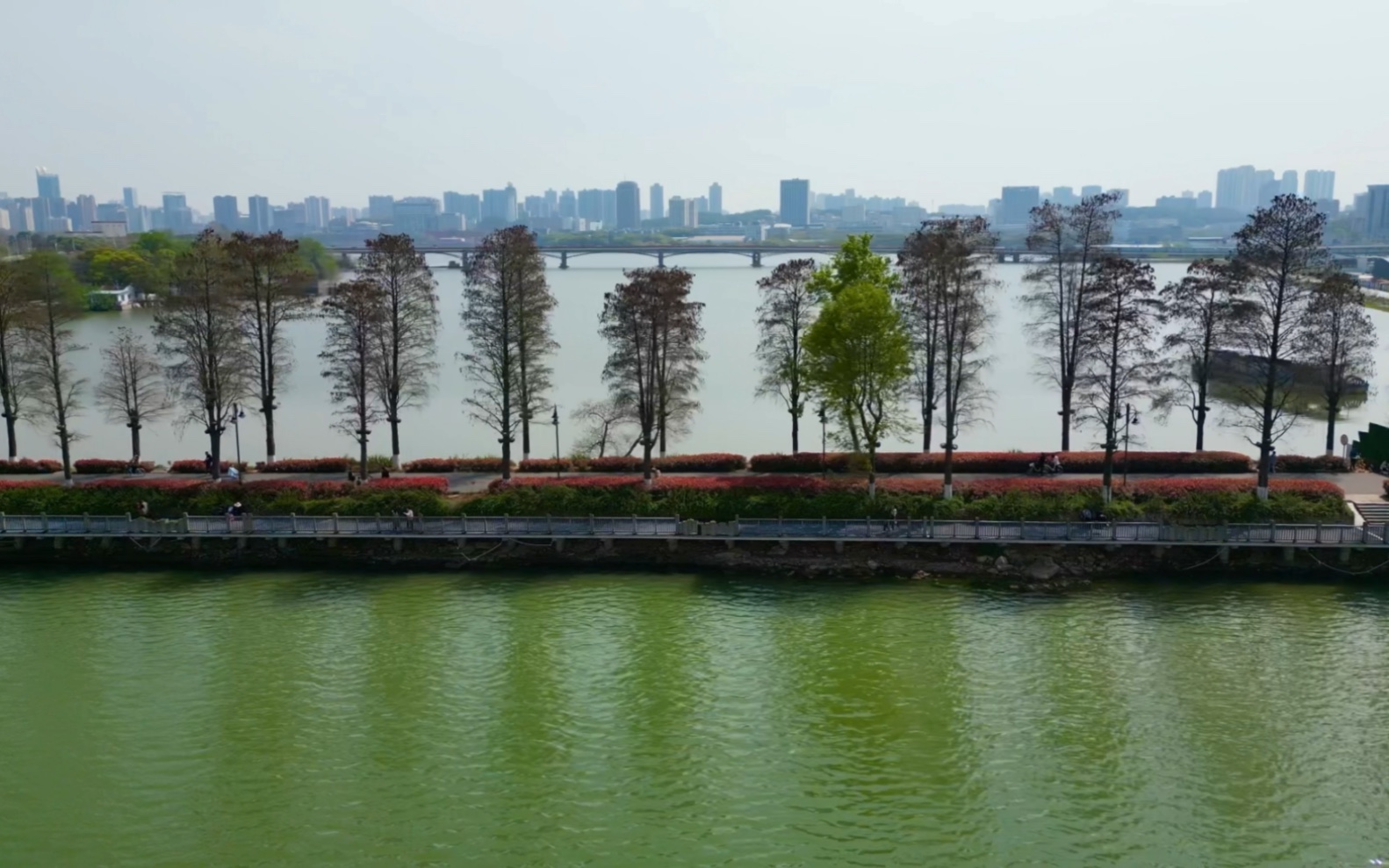 航拍武漢東湖綠道,週末遊玩騎行的好地方