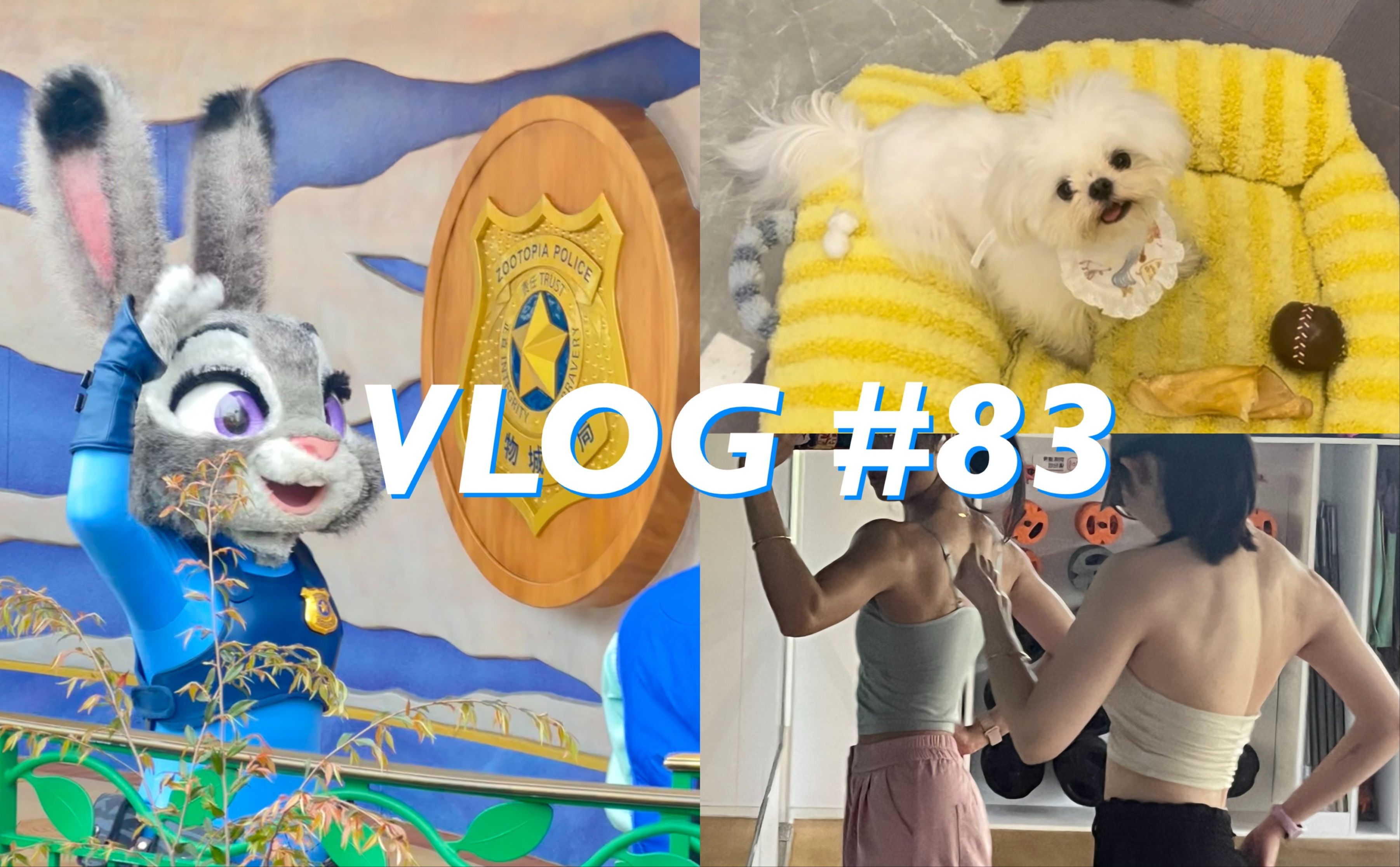 vlog#83|单休特种兵的一周!
