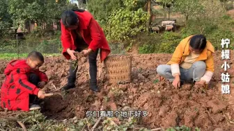 下载视频: 城里吃不到的美食，农村遍地都是，别看长得不好看，但是非常好吃