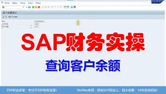 SAP财务实操《查询客户余额》@SAP快速入门