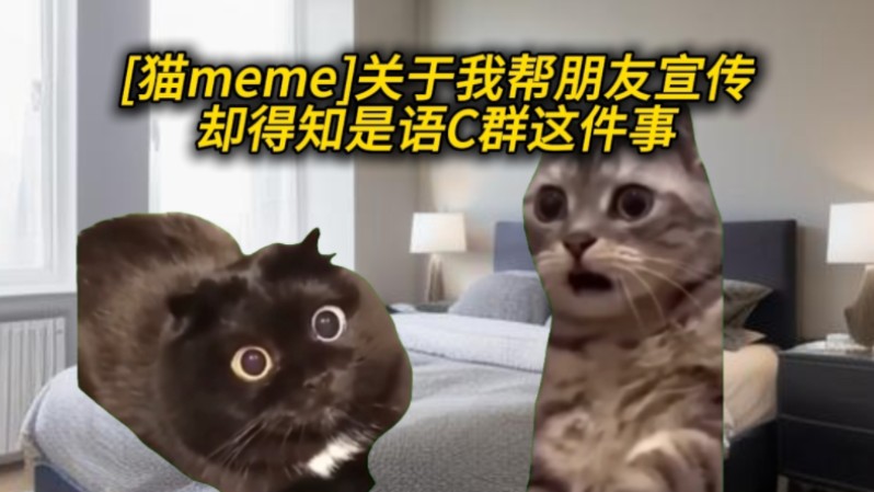 [猫meme][宣传][关于我帮朋友宣传却得知是语C群这件事…]哔哩哔哩bilibili