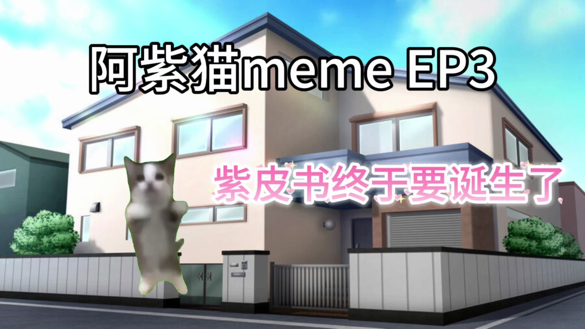 阿紫猫meme EP3 紫皮书终于诞生了!哔哩哔哩bilibili