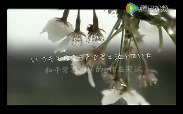 [图]高野健一 樱花樱花想见你（清明樱花祭）