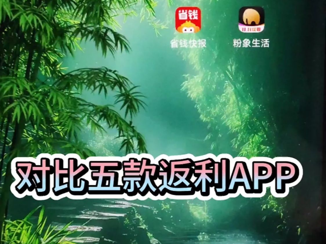 【双11必看】返利APP大揭秘!哔哩哔哩bilibili