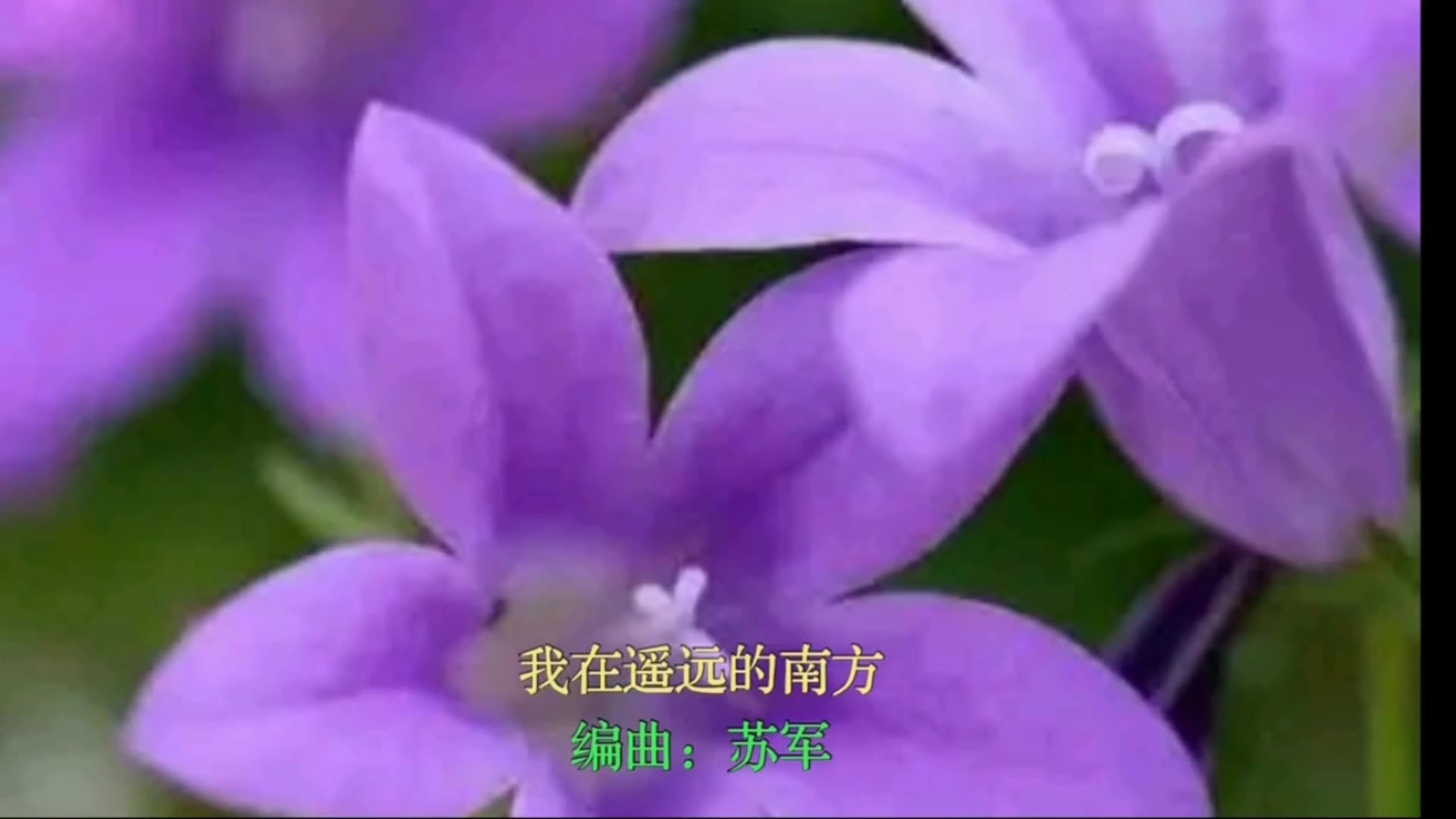 抖音软件里的歌曲苹果怎么下载歌曲3分钟前发布哔哩哔哩bilibili