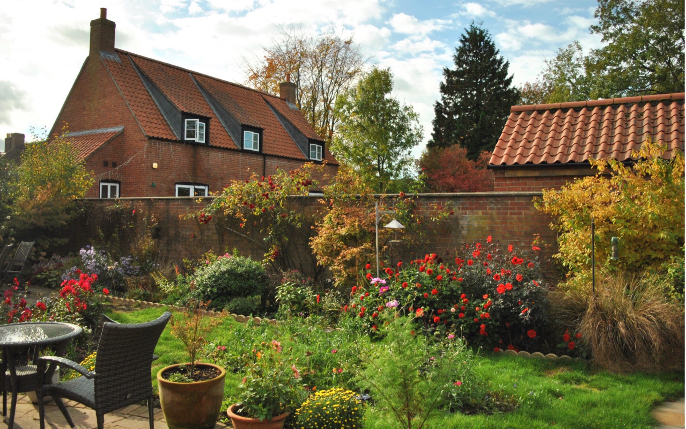 vlog18england英国乡下的秋天田野教堂落叶地里奔跑的小动物树上的