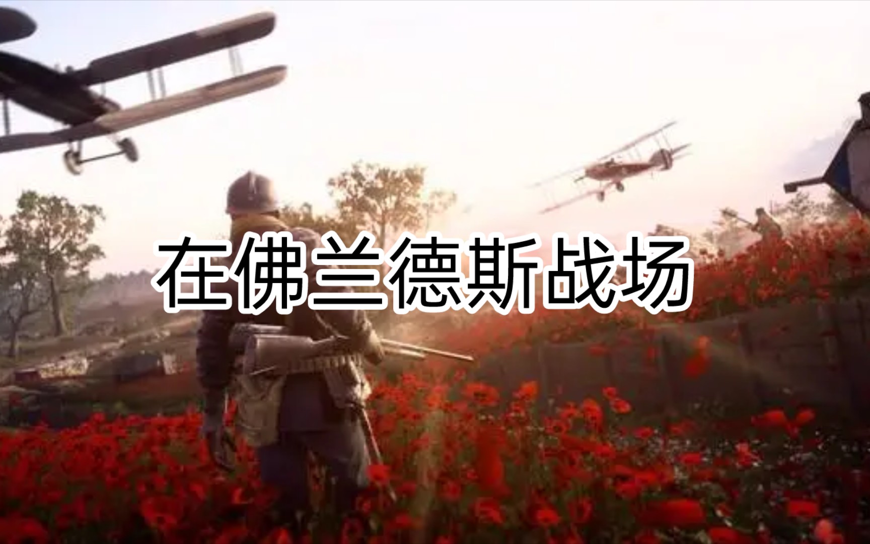 在佛兰德斯战场【一战诗歌】