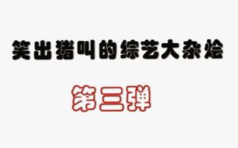 [图]【笑到床抖的韩综安利】那些笑出猪叫的韩国综艺 专治各种不开心 彩蛋泪目慎点