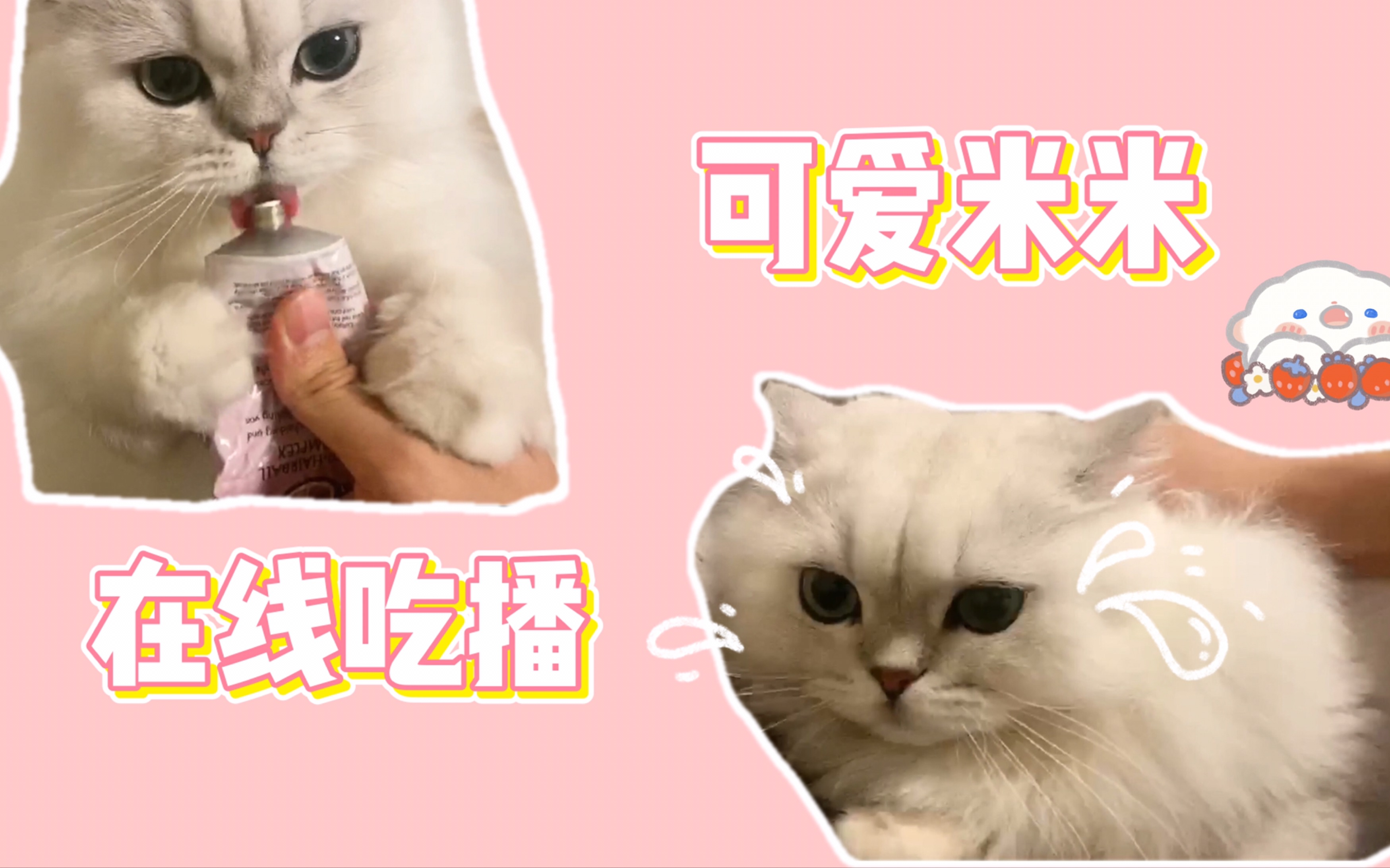 1010花少北直播花生米录屏自存不妥删