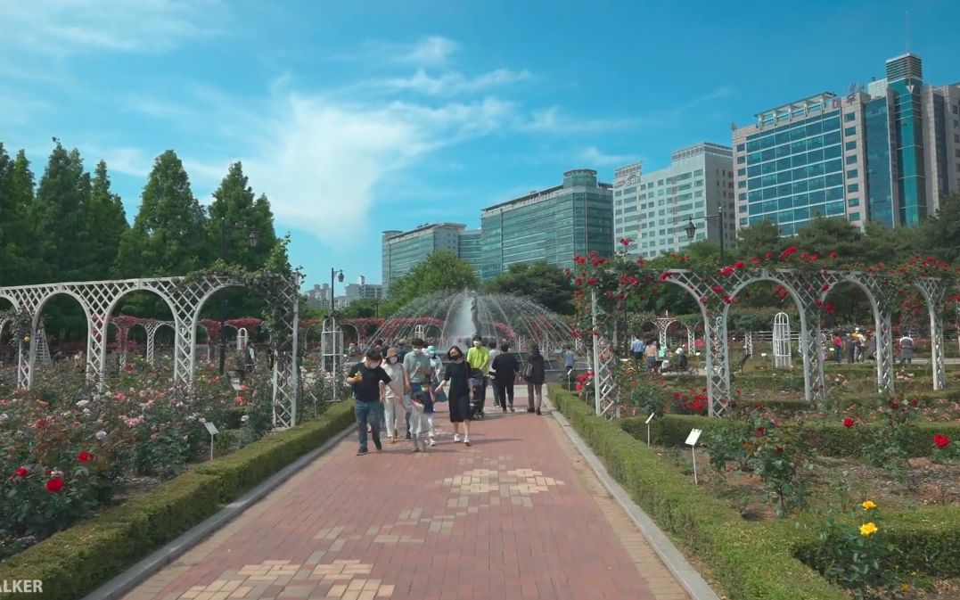 【超清韩国】漫步周日下午的京畿道高阳市伊尔桑社区和湖泊公园 (1080