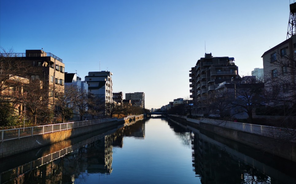 东京都江户川区东小松川3丁目楼下的一天