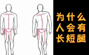 Video herunterladen: 为什么人会有长短腿？