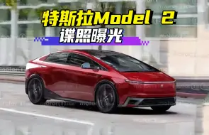 Download Video: 特斯拉Model2海外谍照曝光 你会买吗？