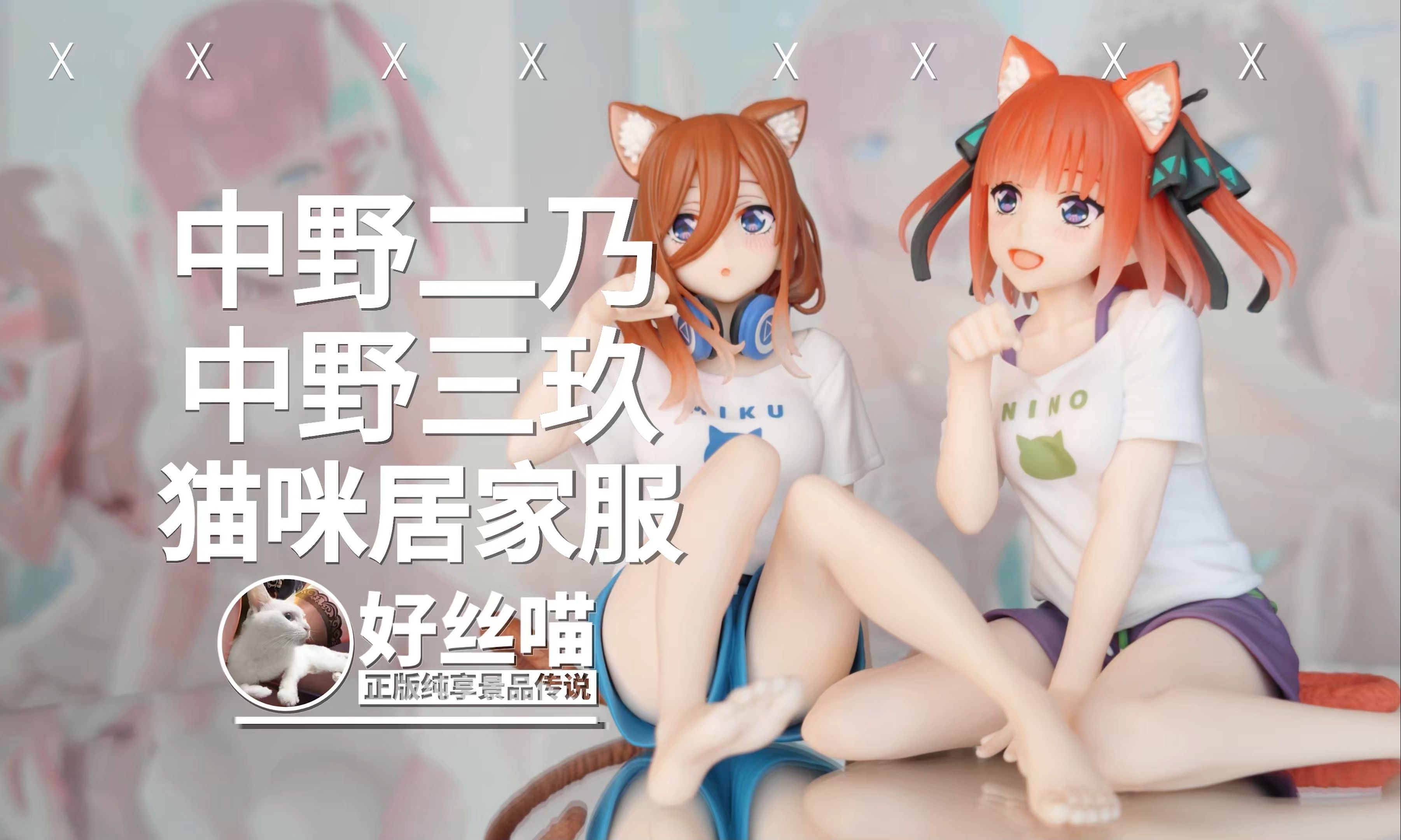 两个猫猫头~中野二乃 中野三玖~猫咪居家服~desktop cute 五等分的