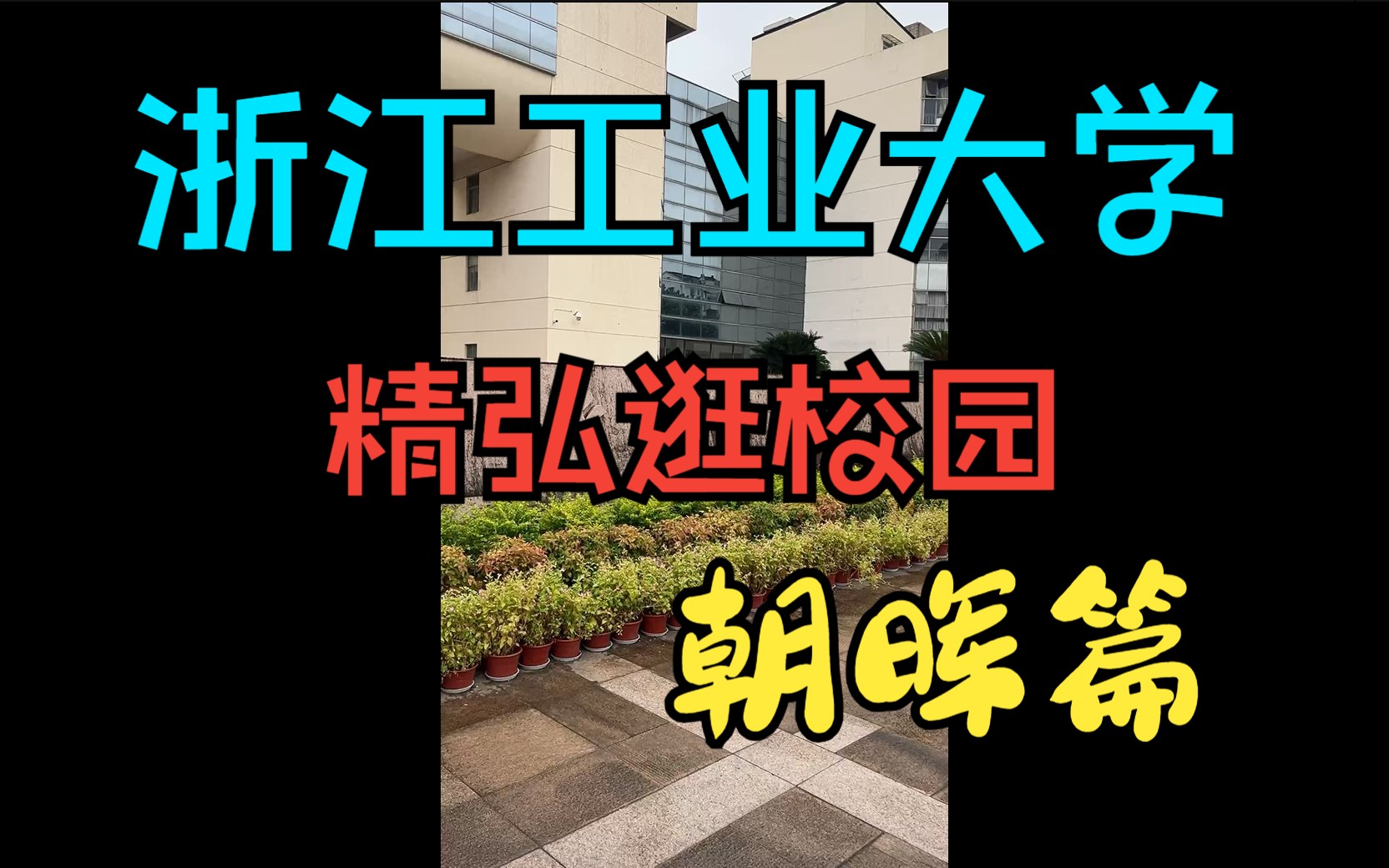 精弘逛校园回放|浙江工业大学 朝晖篇哔哩哔哩bilibili