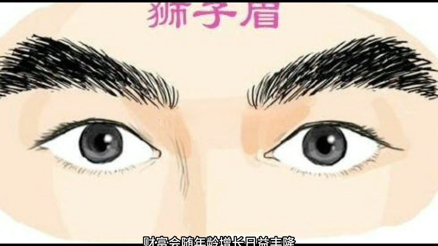 有这几种眉毛的男人,注定一生大富大贵!哔哩哔哩bilibili