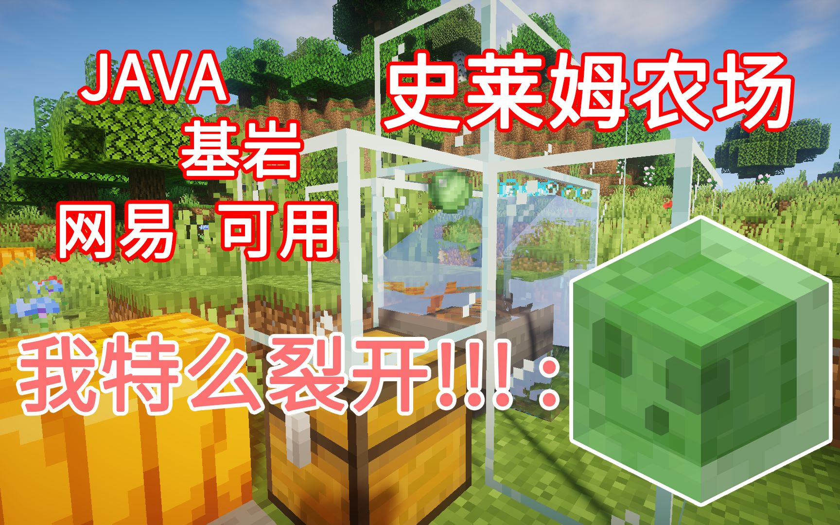 [图]【全自动史莱姆农场】地上收集 简单好做一学就会 Minecraft我的世界前期生存必备的机器——第十二期