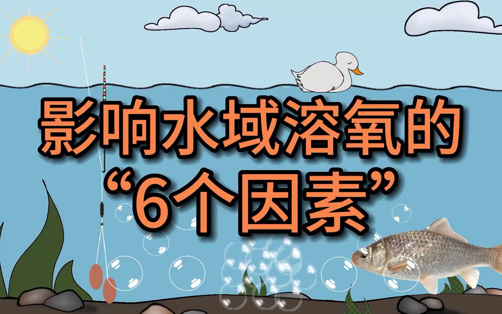 水域溶氧决定鱼情,了解影响溶氧的6个因素,鱼情好坏一目了然哔哩哔哩bilibili