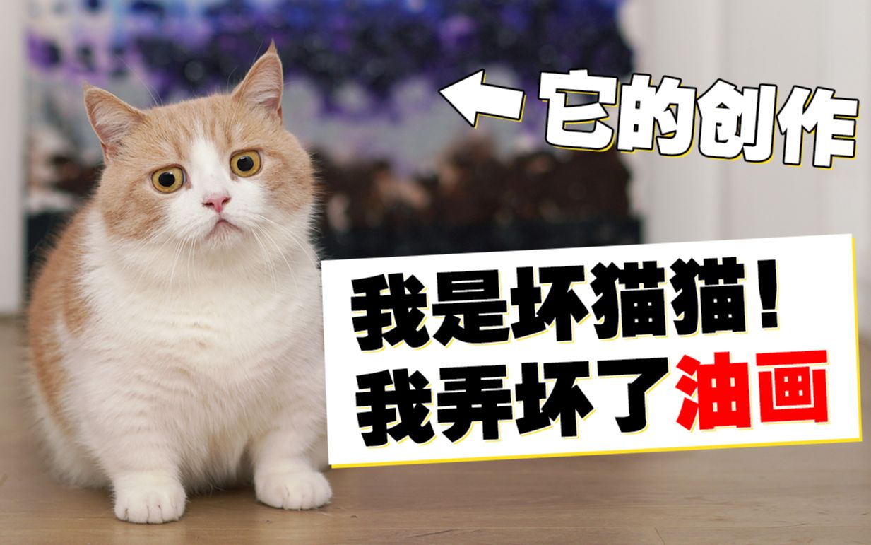 [图]一支笔，一只猫，一个晚上，一个奇迹……