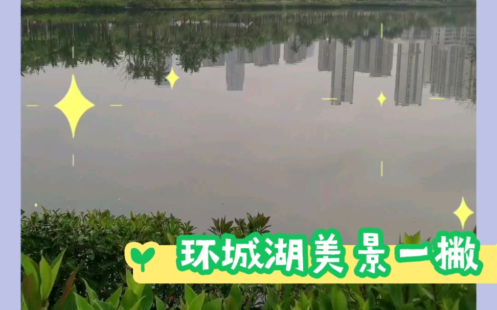 海口环城湖美景一撇哔哩哔哩bilibili