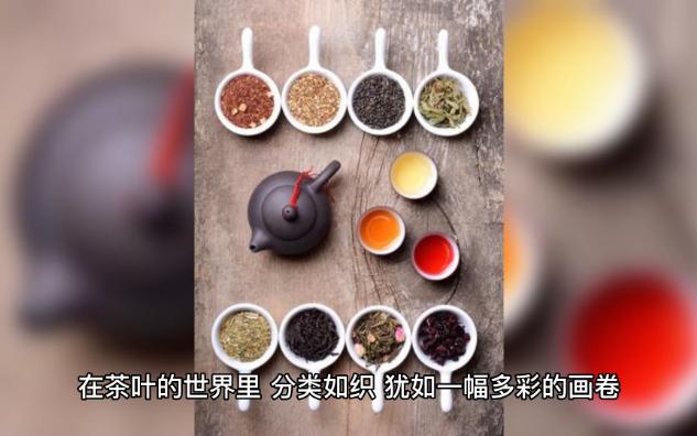 「茶文化」茶叶分类指南助你了解茶叶!哔哩哔哩bilibili