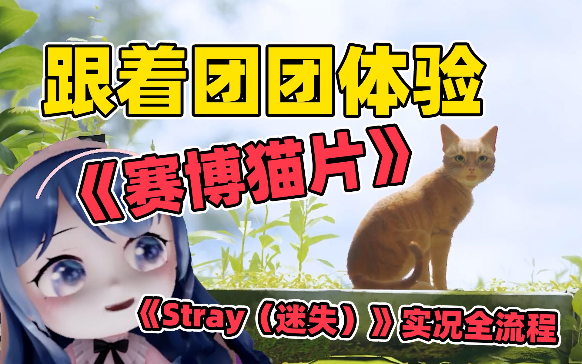 [图]【《Stray（迷失）》】当我变成一只猫，拯救了一个世界