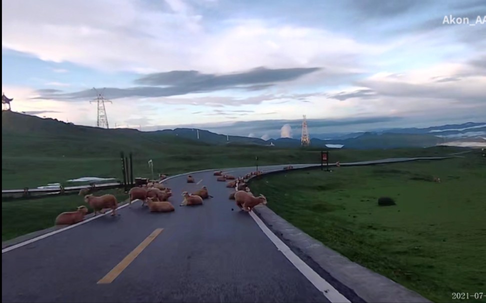 [图]露营乌蒙大草原 晨归沿途风景.1