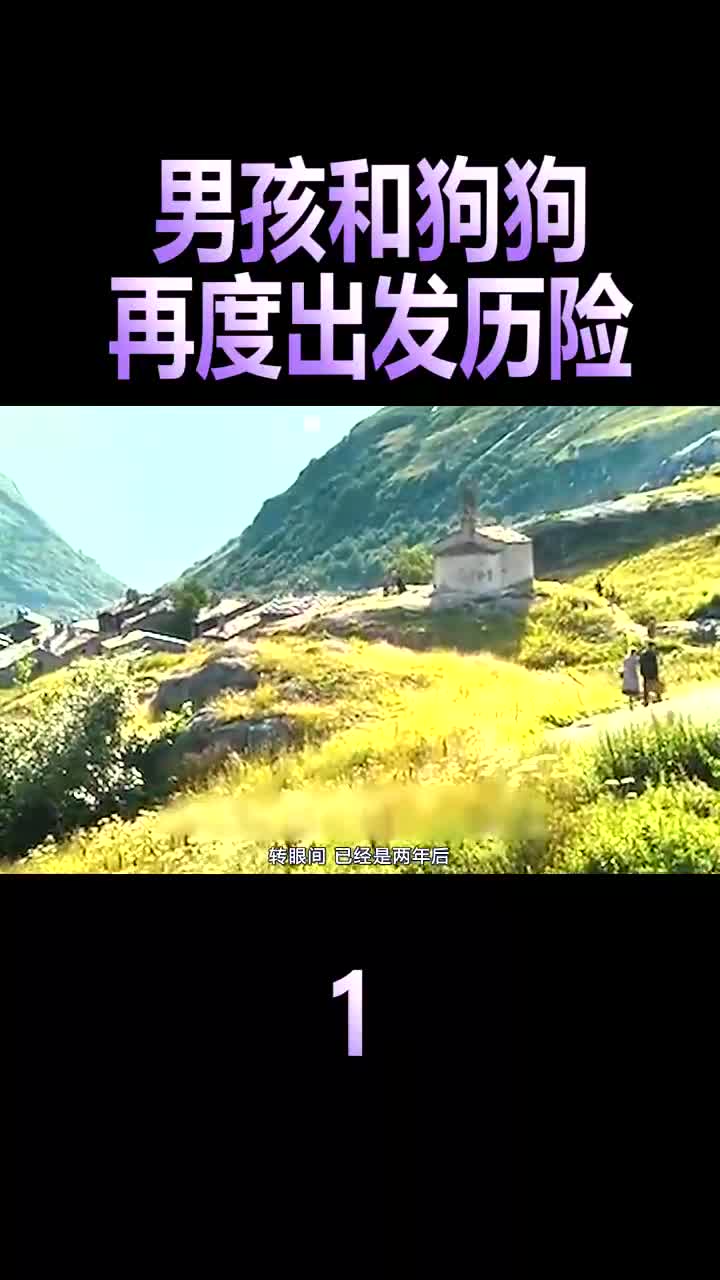 《灵犬雪莉2》男孩带着雪莉再度出发探险,营救姑姑,哔哩哔哩bilibili