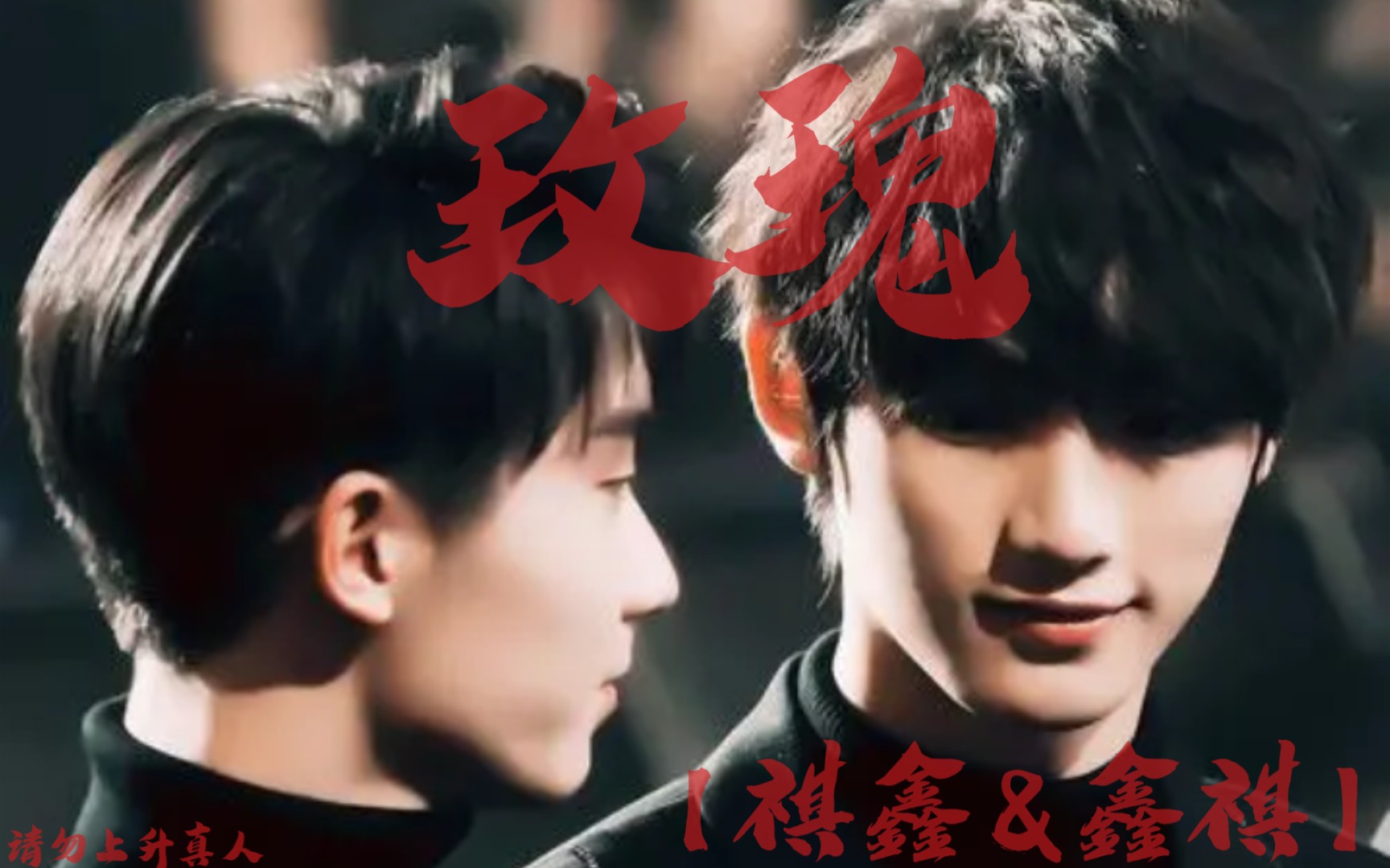 【祺鑫&鑫祺】玫瑰_哔哩哔哩_bilibili