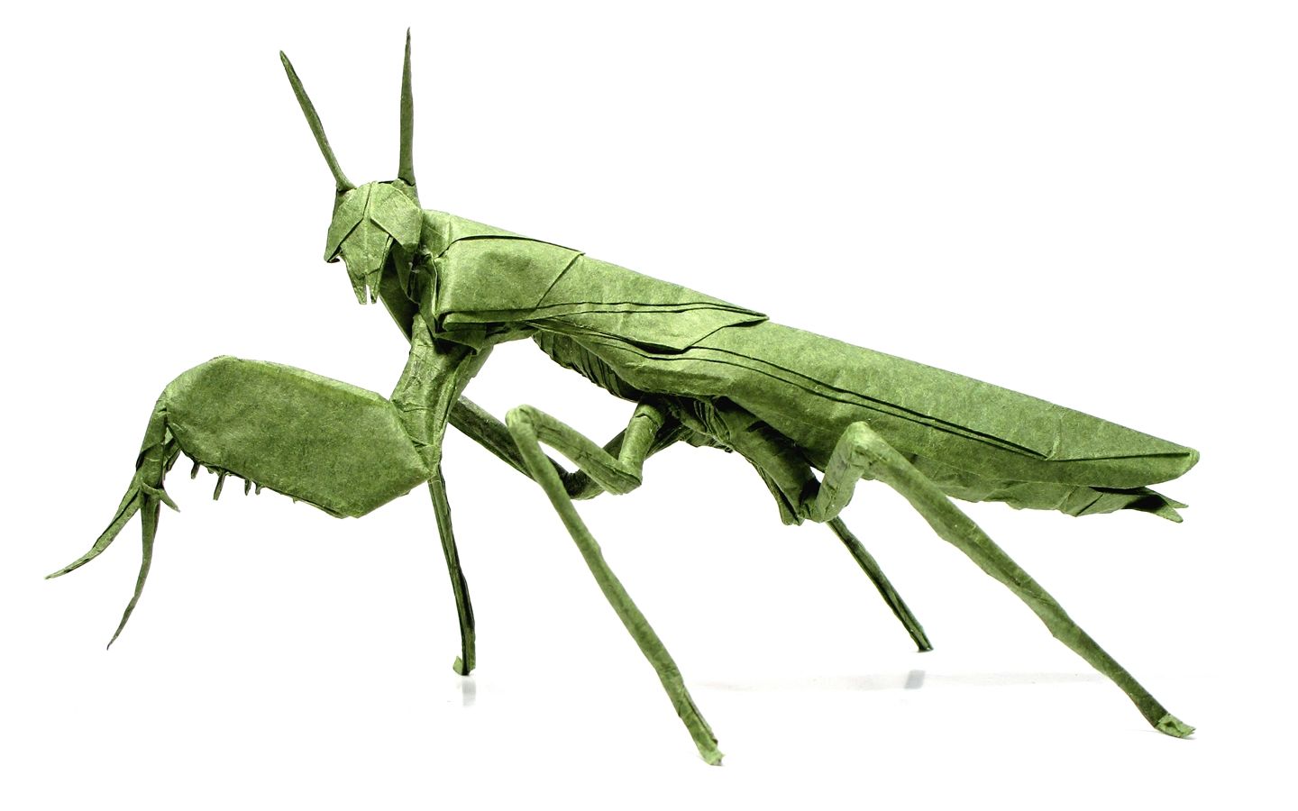 【折纸搬运】拳击螳螂 设计:manuel sirgo 视频制作:marianozavala