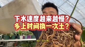 Video herunterladen: 为什么下水速度越来越慢，多长时间换一次土