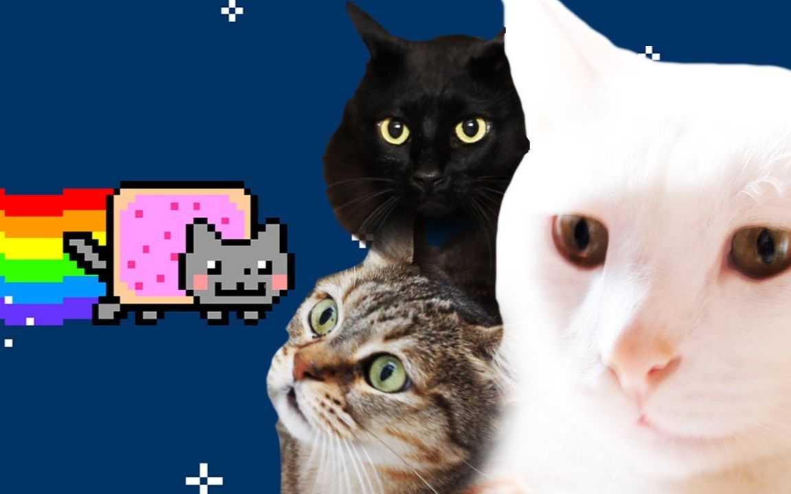 奇异甜食此毒绵绵无绝期nyancat彩虹猫电吉他演奏