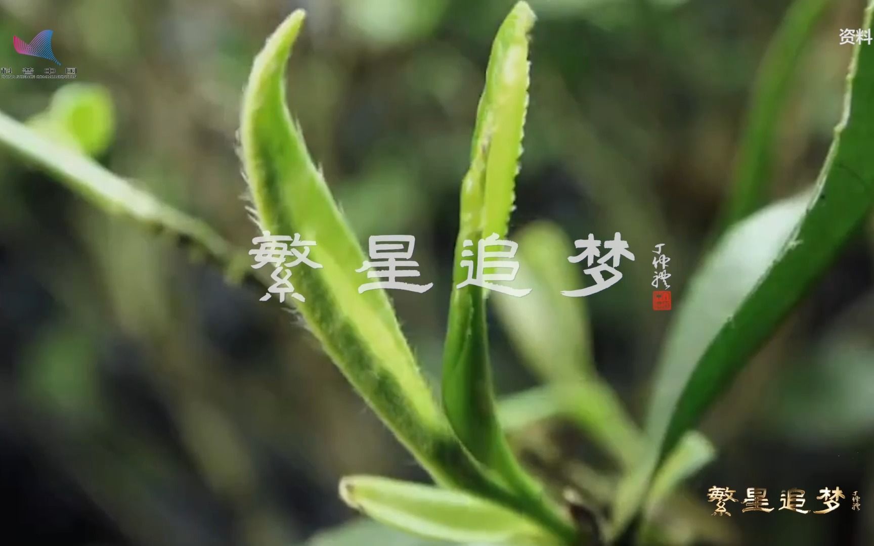 [图]【繁星追梦】陈宗懋：与茶六十载 守护一份诗意