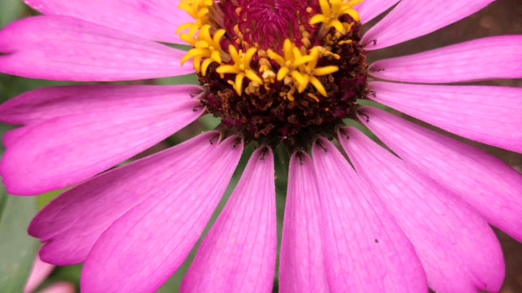 时诗君君 伊伊子 秋美子 陈逗逗与少东 绝世的陈逗逗 宋小宝 刀小刀