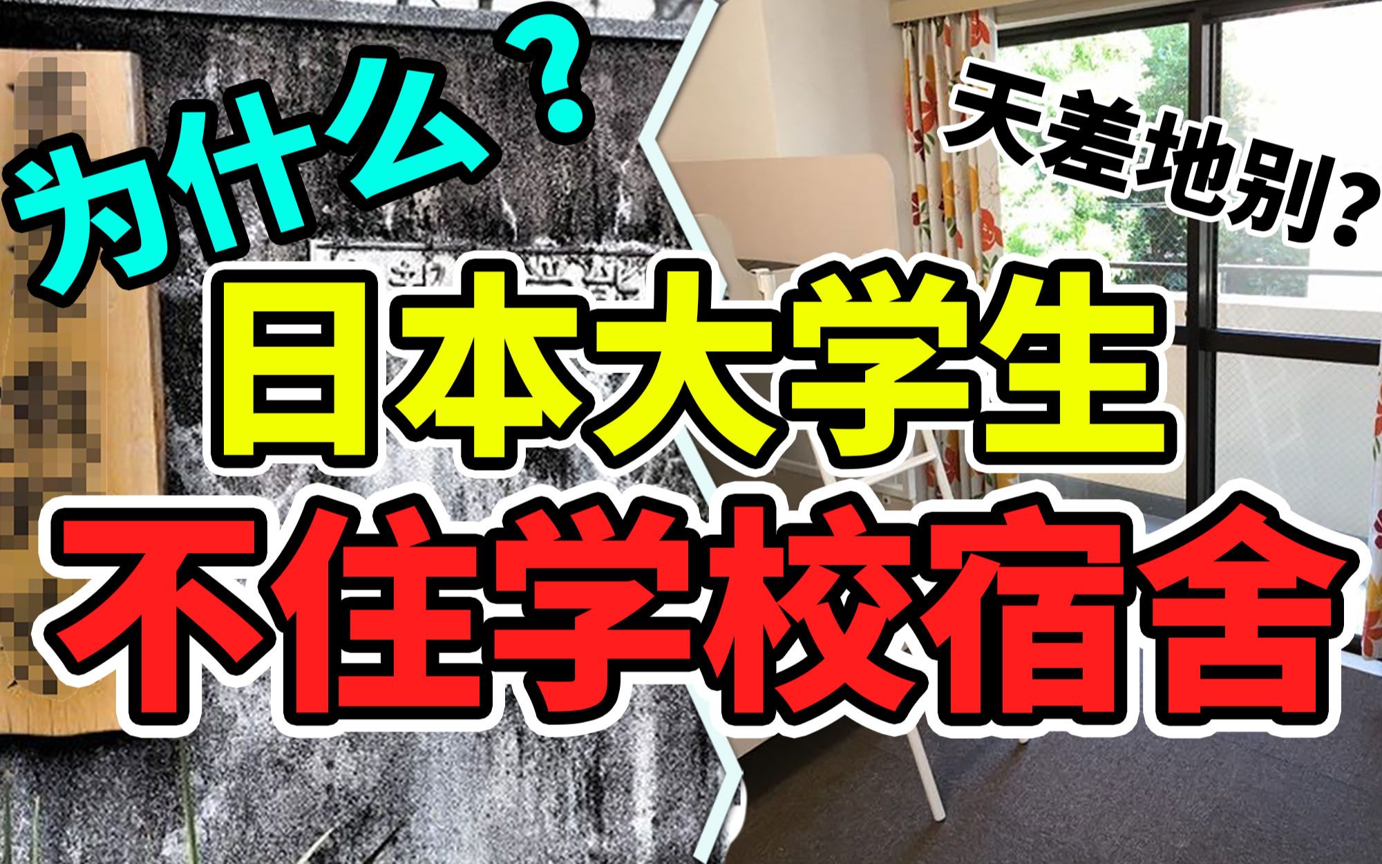 日本对留学生苛刻?为什么日本大学生不住大学宿舍?|芥末留学小百科哔哩哔哩bilibili